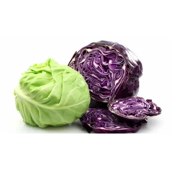 Cabbage (41)-2773932-19515.webp
